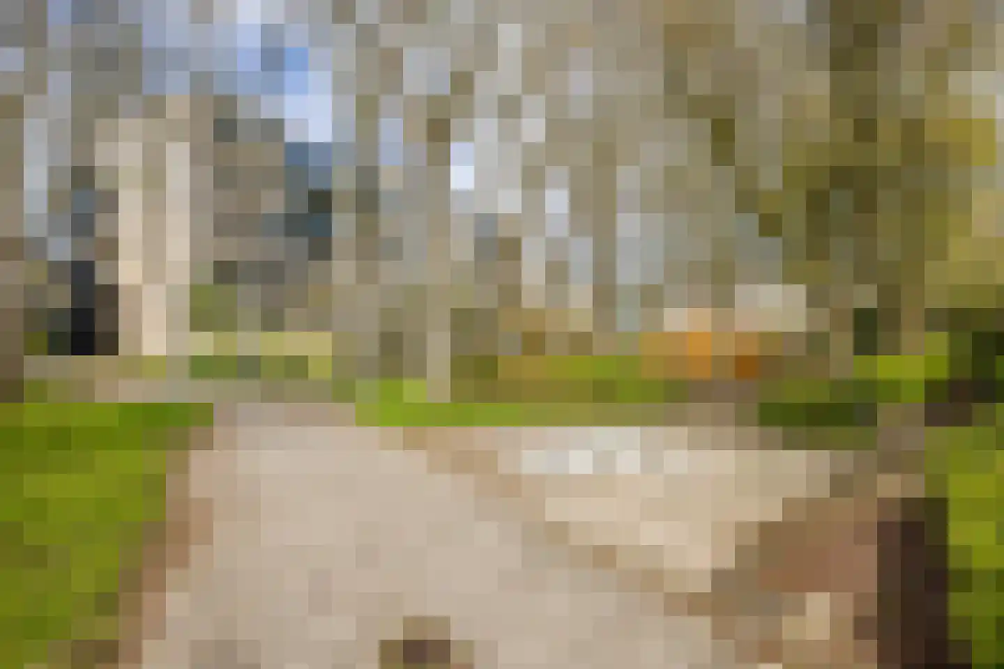 Normandië 24 Utrecht thumbnail 37