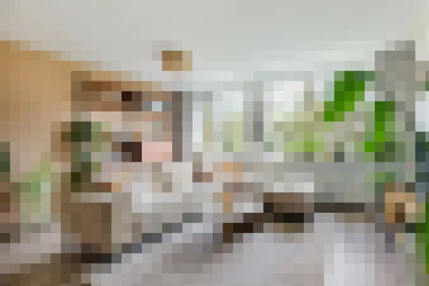 Normandië 24 Utrecht thumbnail 7