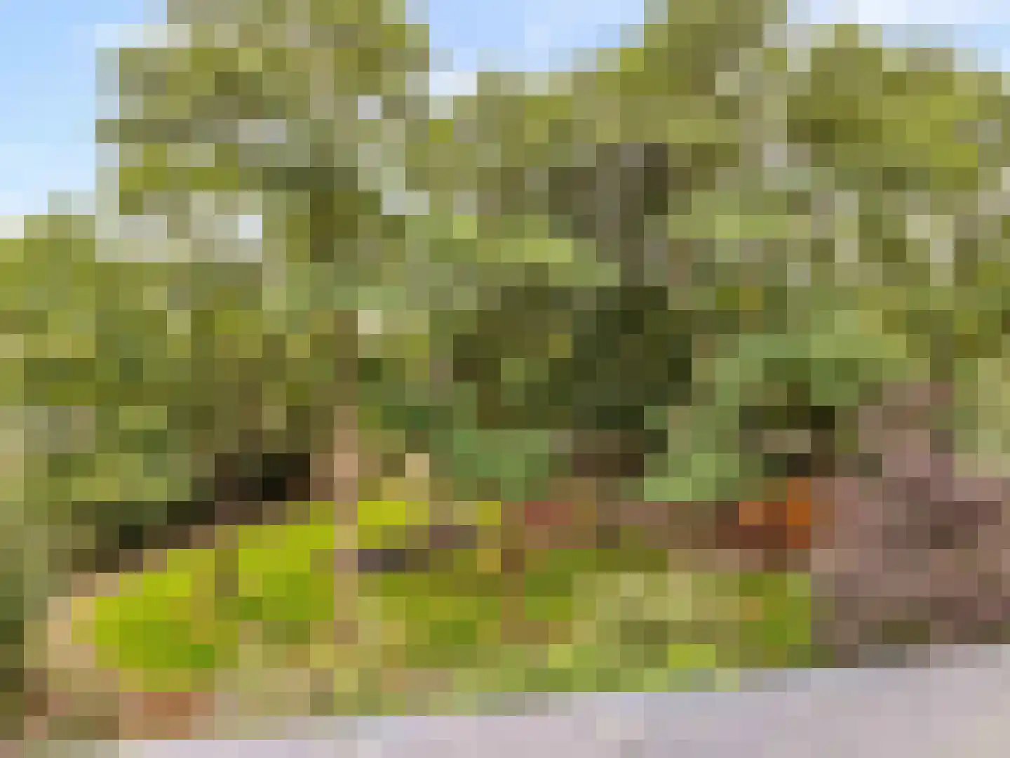 Normandië 38 Utrecht thumbnail 23