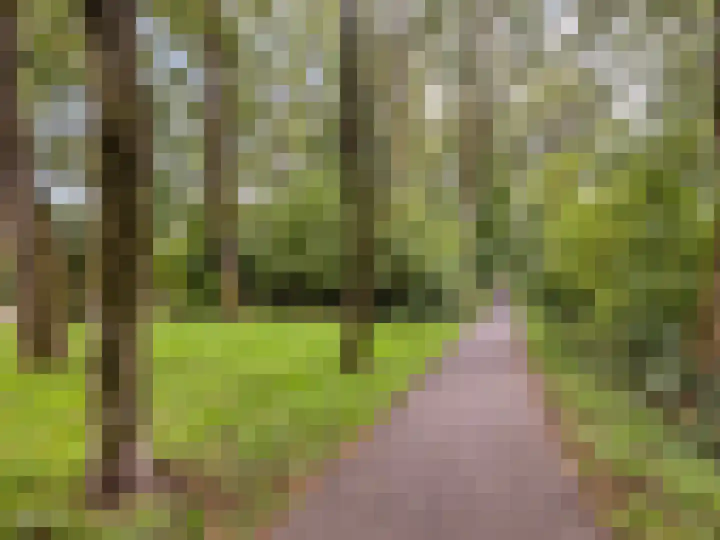 Normandië 38 Utrecht thumbnail 37