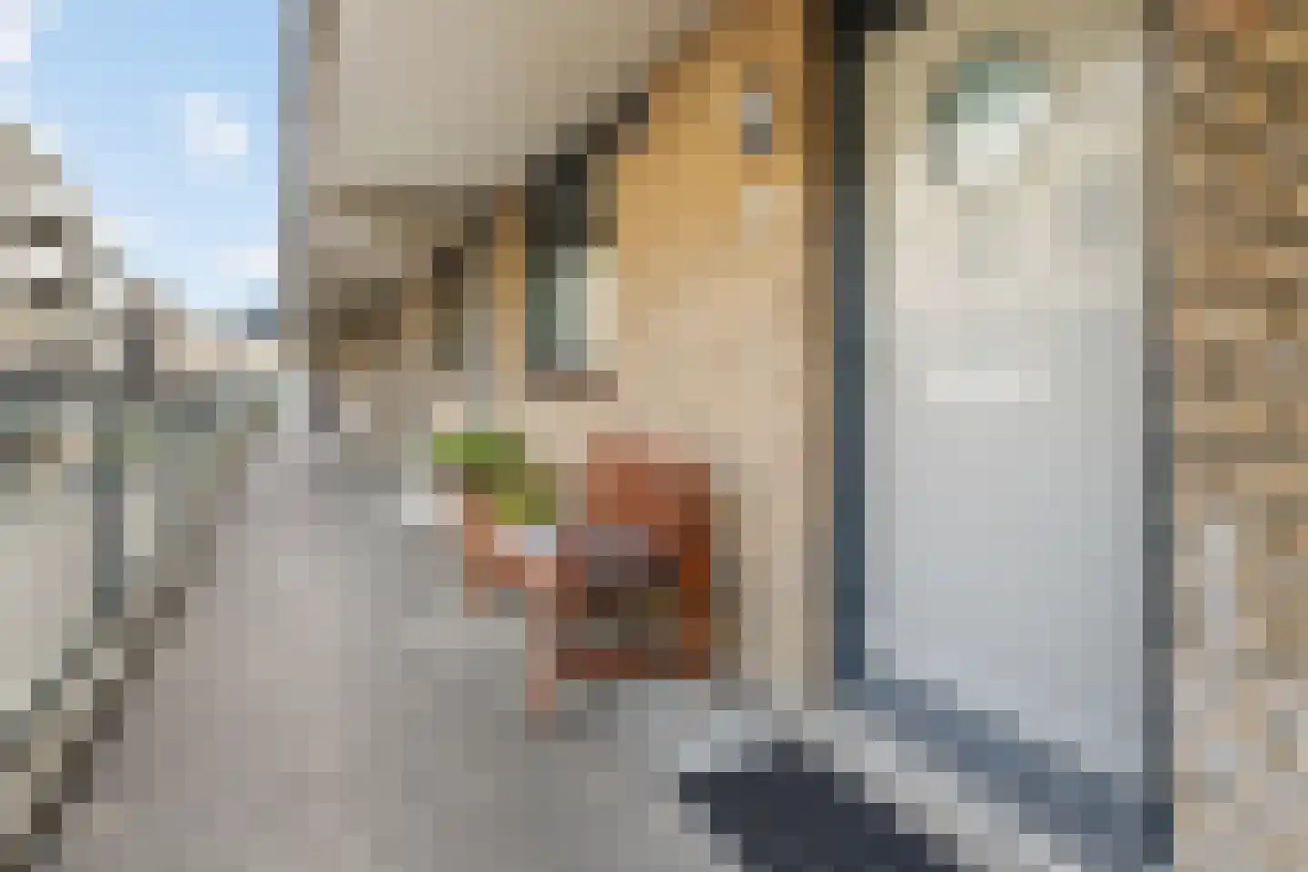 Normandië 96 Utrecht thumbnail 7