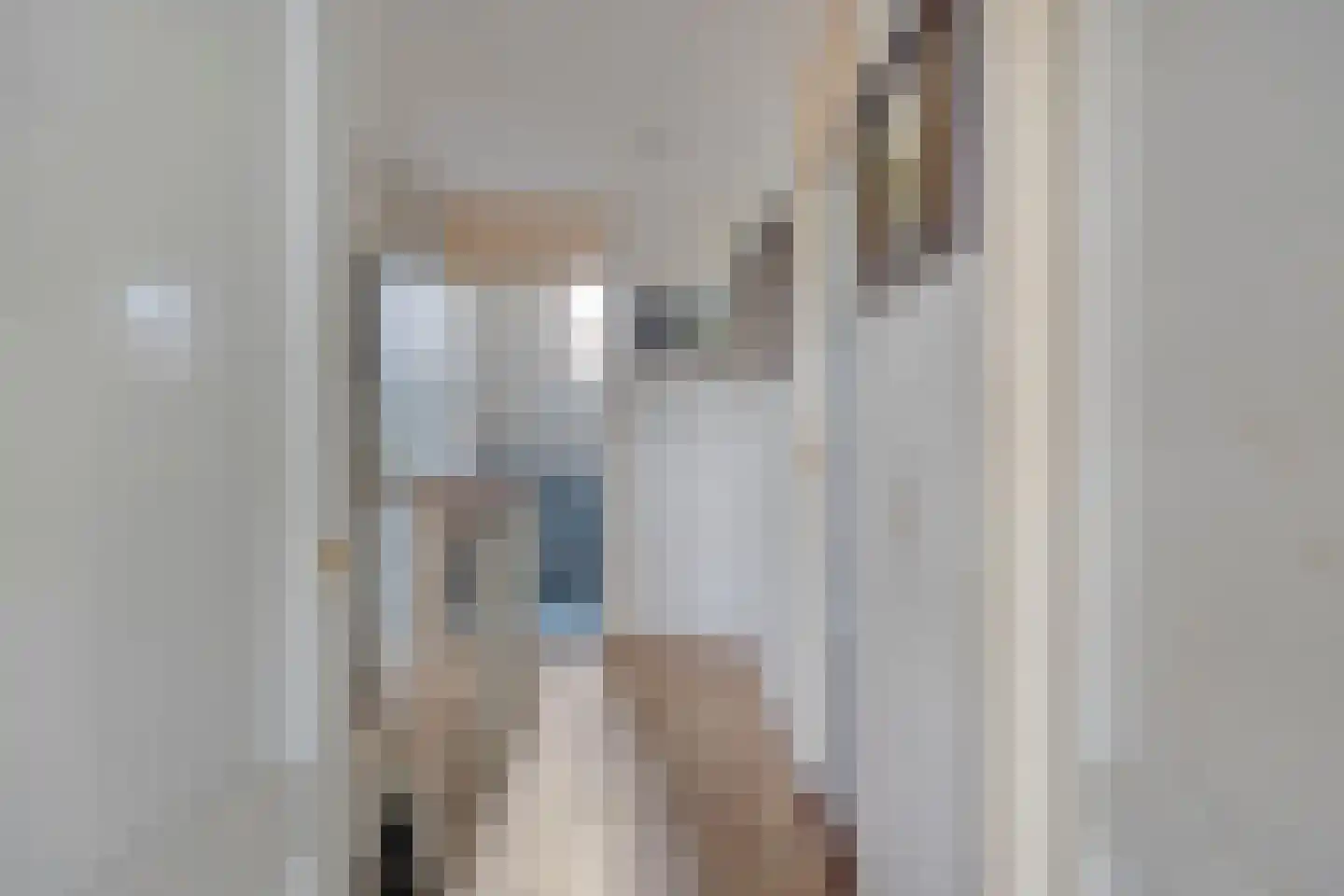 Normandielaan 122 Eindhoven thumbnail 13