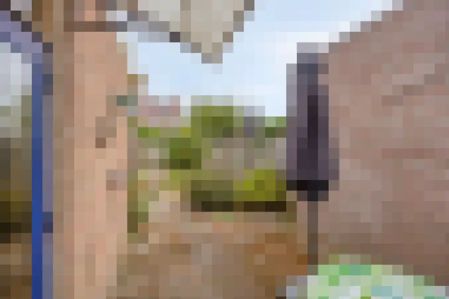 Normandielaan 122 Eindhoven thumbnail 22