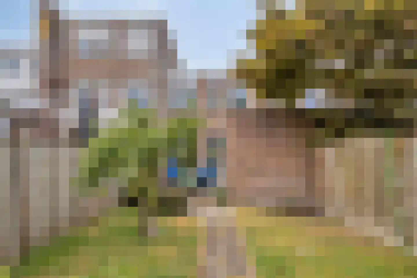 Normandielaan 122 Eindhoven thumbnail 25