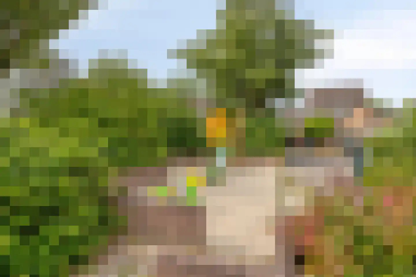 Normandielaan 122 Eindhoven thumbnail 27