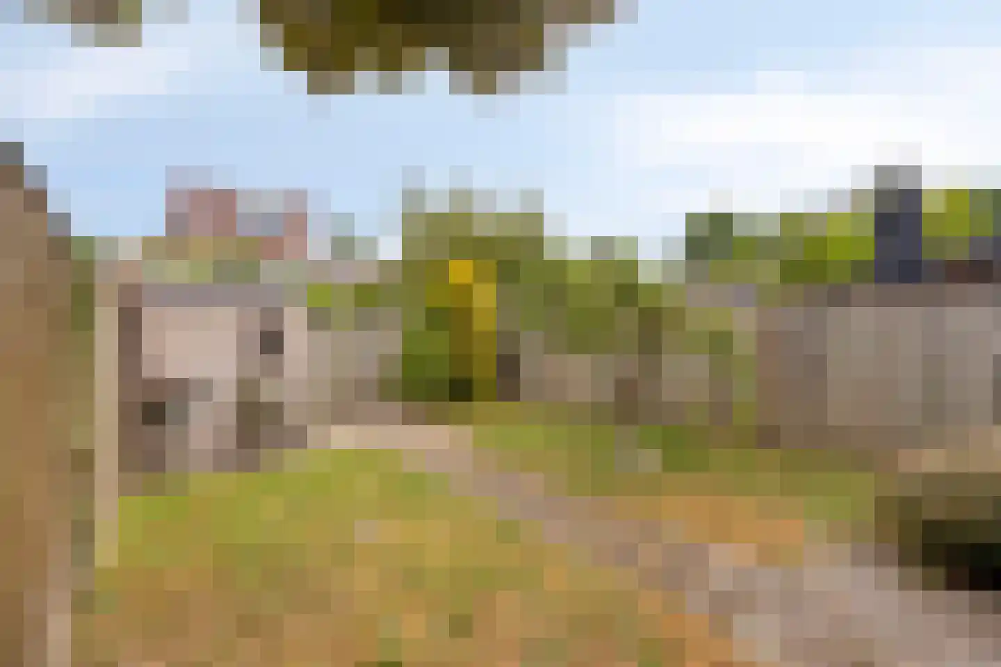 Normandielaan 122 Eindhoven thumbnail 4