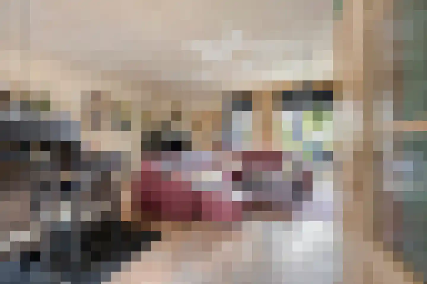 Normandielaan 122 Eindhoven thumbnail 7