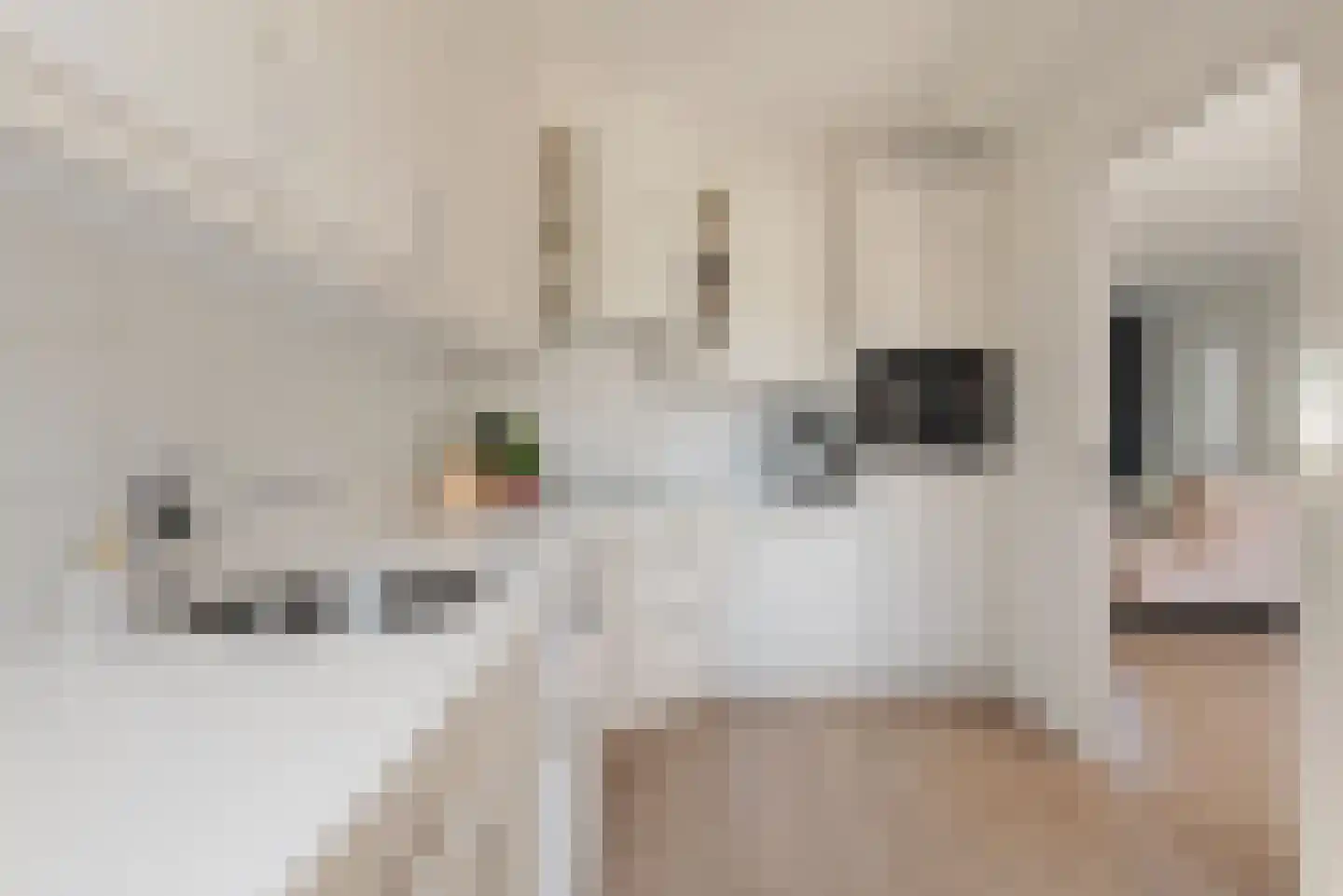 Normandielaan 160 Eindhoven thumbnail 19
