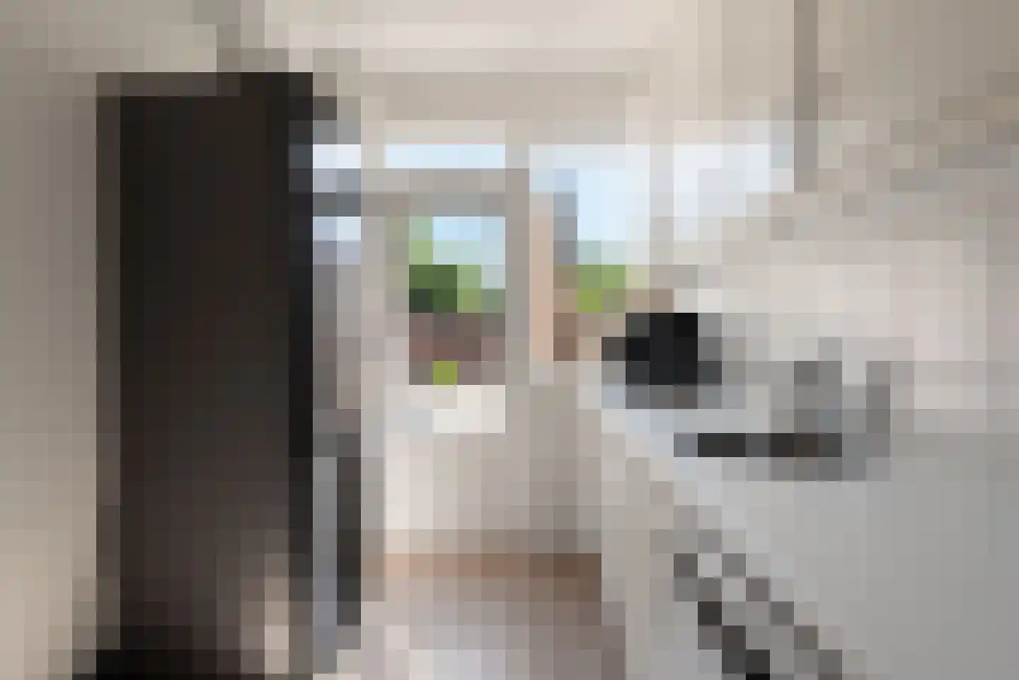 Normandielaan 160 Eindhoven thumbnail 20