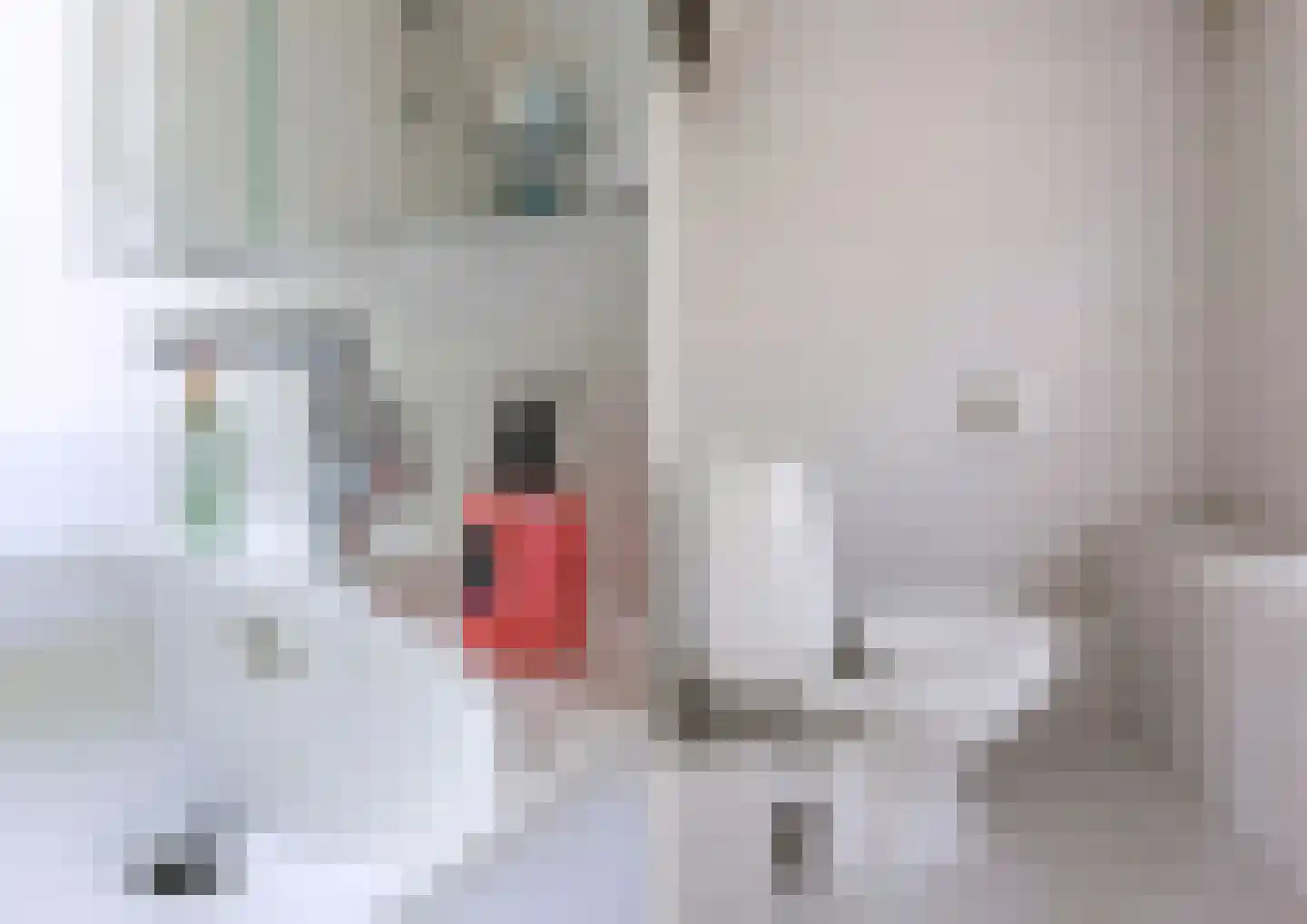Normandielaan 160 Eindhoven thumbnail 44