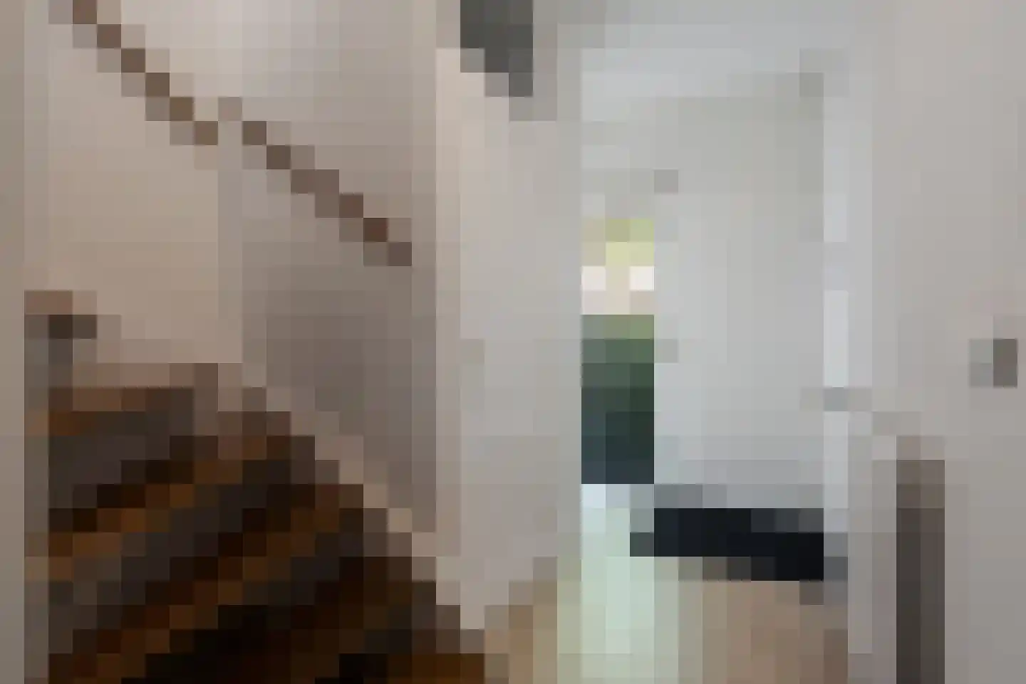 Normandielaan 160 Eindhoven thumbnail 7