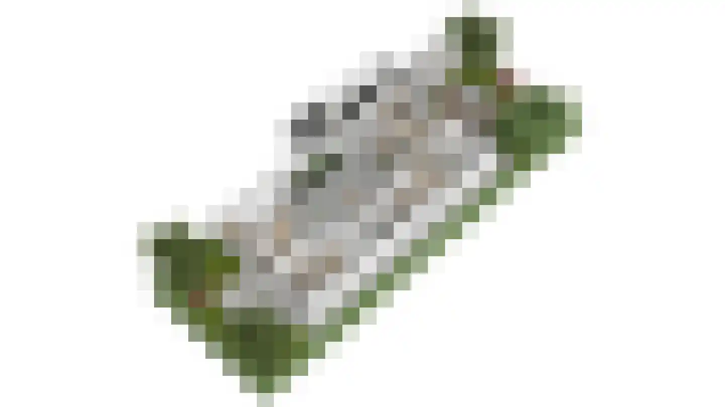Normandiëlaan 30 Heemskerk thumbnail 38
