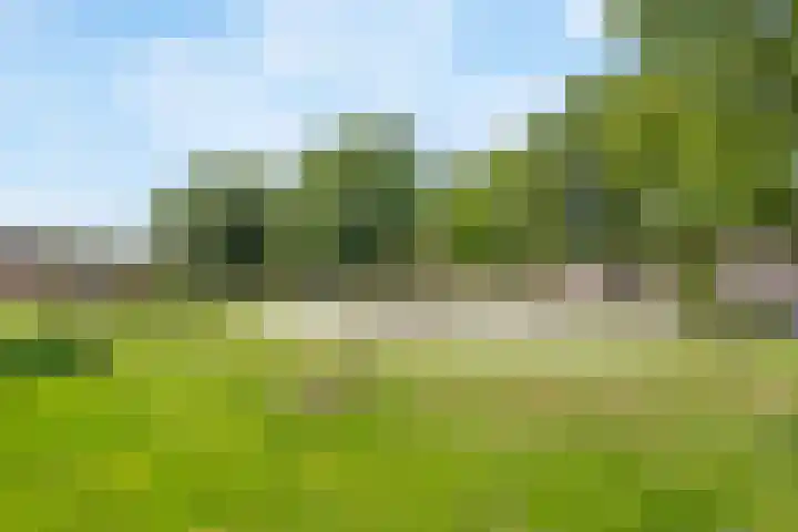 Normandiëlaan 33 Oldenzaal thumbnail 19