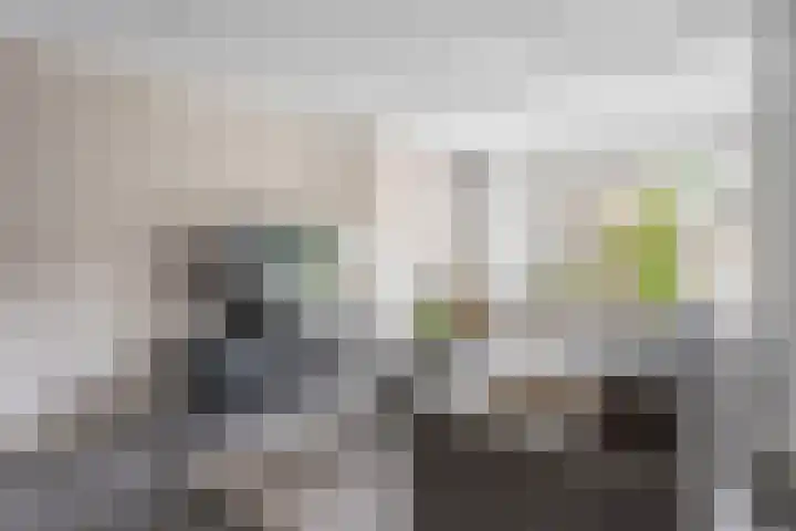 Normandiëlaan 33 Oldenzaal thumbnail 6