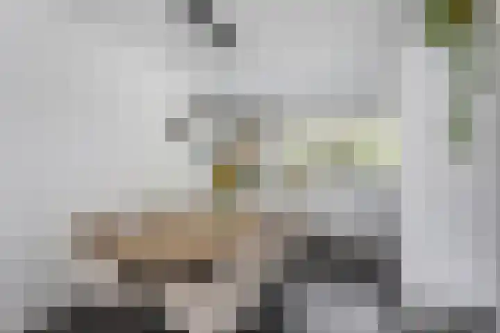 Normandiëlaan 33 Oldenzaal thumbnail 9