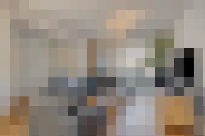 Normandielaan 42 Eindhoven thumbnail 11