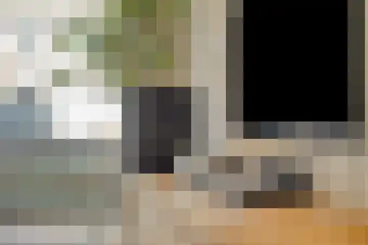 Normandielaan 42 Eindhoven thumbnail 13
