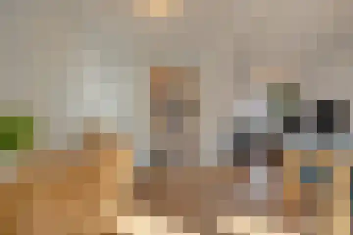 Normandielaan 42 Eindhoven thumbnail 20