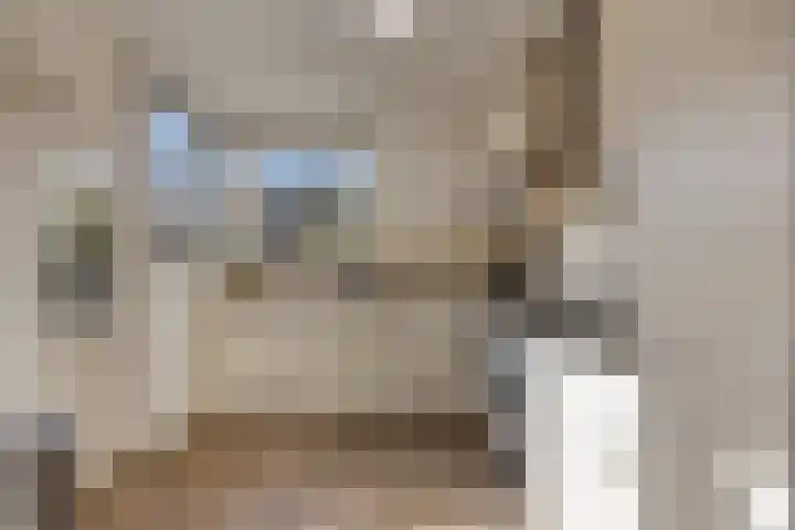 Normandielaan 42 Eindhoven thumbnail 22