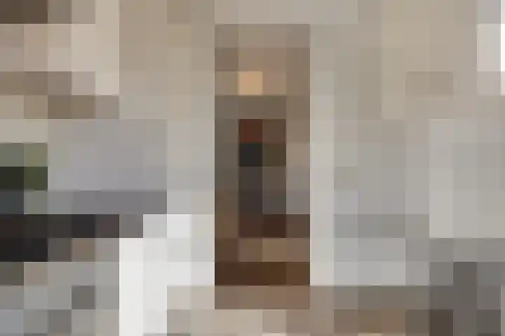 Normandielaan 42 Eindhoven thumbnail 23