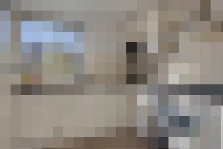 Normandielaan 42 Eindhoven thumbnail 24