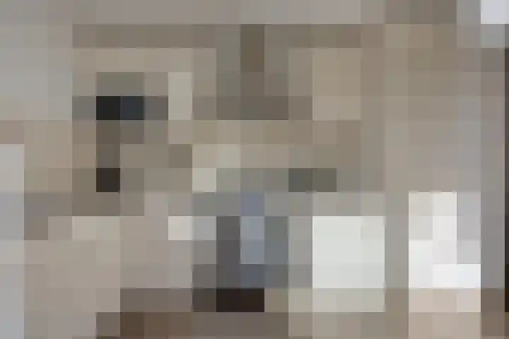 Normandielaan 42 Eindhoven thumbnail 25