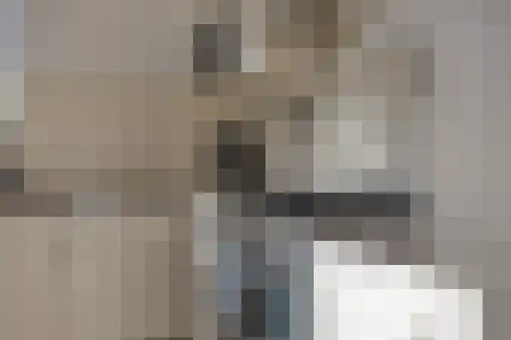 Normandielaan 42 Eindhoven thumbnail 26