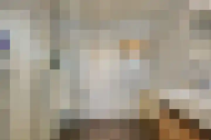 Normandielaan 42 Eindhoven thumbnail 32