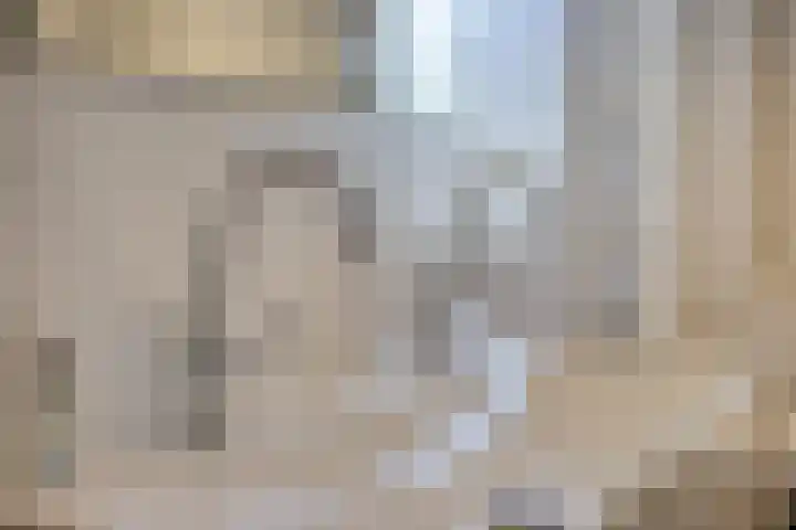 Normandielaan 42 Eindhoven thumbnail 33