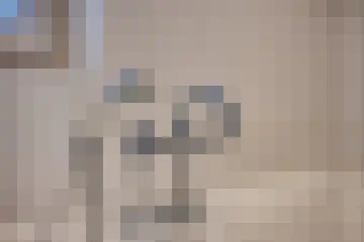 Normandielaan 42 Eindhoven thumbnail 34