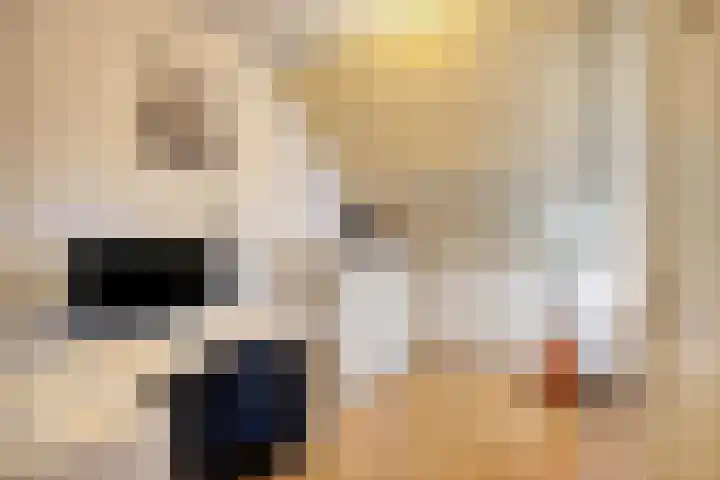 Normandielaan 42 Eindhoven thumbnail 38