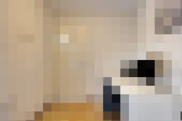 Normandielaan 42 Eindhoven thumbnail 39