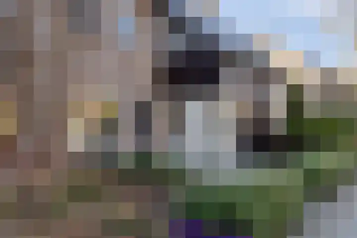 Normandielaan 42 Eindhoven thumbnail 4