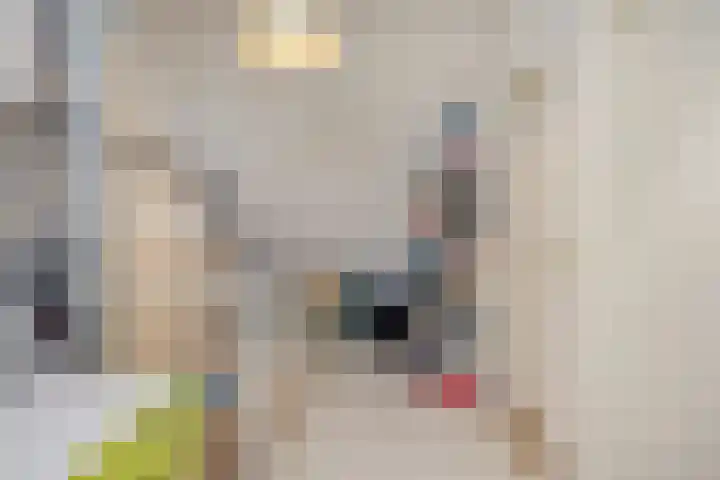 Normandielaan 42 Eindhoven thumbnail 40