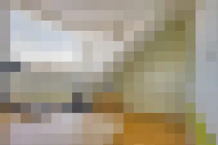 Normandielaan 42 Eindhoven thumbnail 44