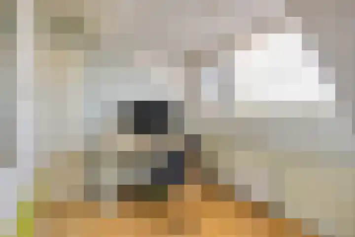 Normandielaan 42 Eindhoven thumbnail 45
