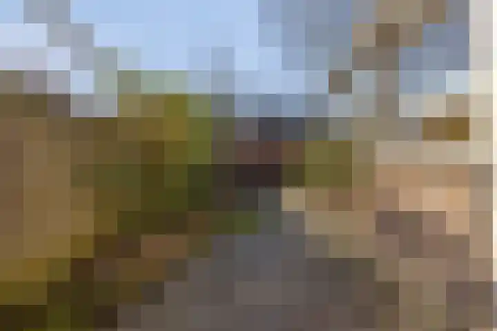 Normandielaan 42 Eindhoven thumbnail 46
