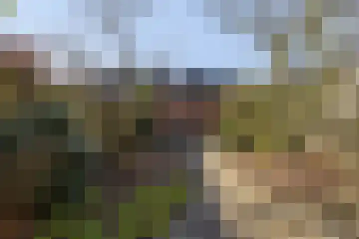 Normandielaan 42 Eindhoven thumbnail 47