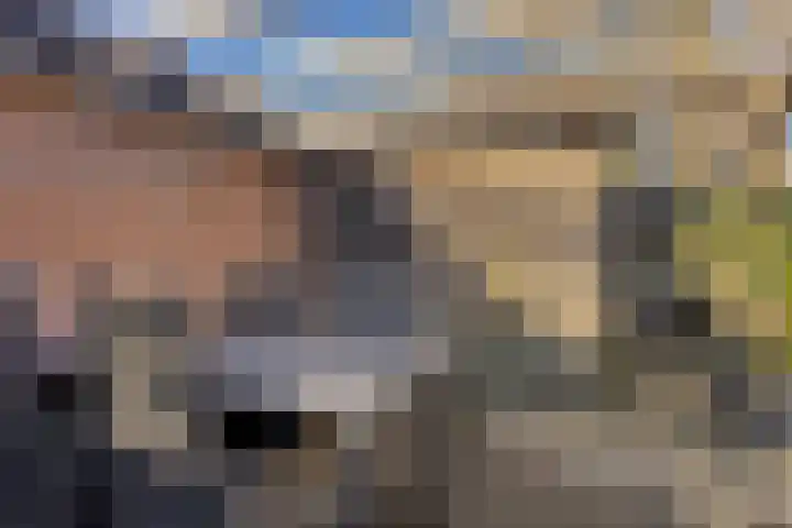 Normandielaan 42 Eindhoven thumbnail 49