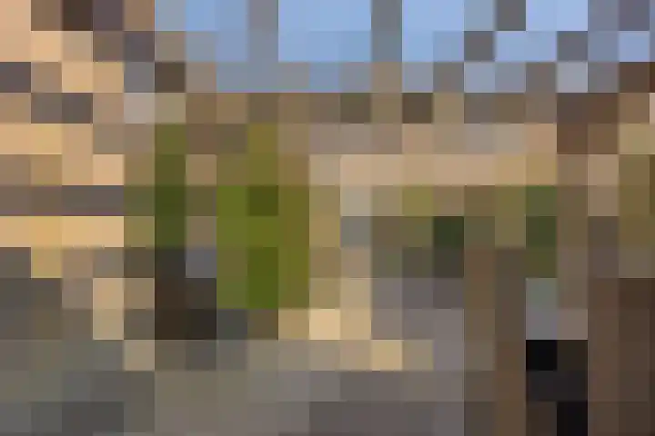 Normandielaan 42 Eindhoven thumbnail 50
