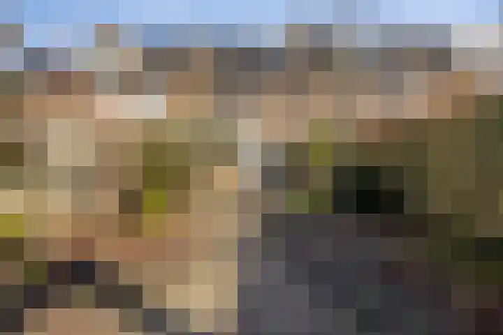 Normandielaan 42 Eindhoven thumbnail 51