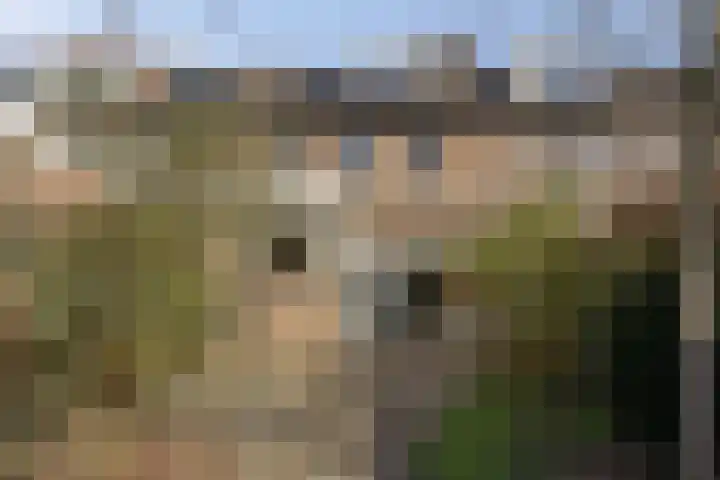 Normandielaan 42 Eindhoven thumbnail 52
