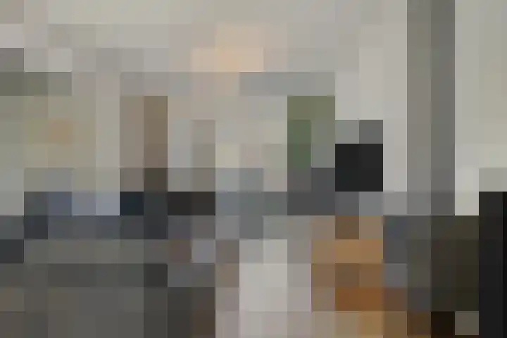 Normandielaan 42 Eindhoven thumbnail 8