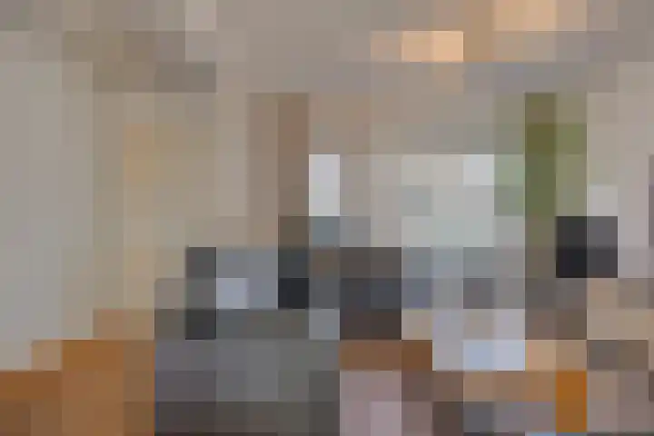 Normandielaan 42 Eindhoven thumbnail 9