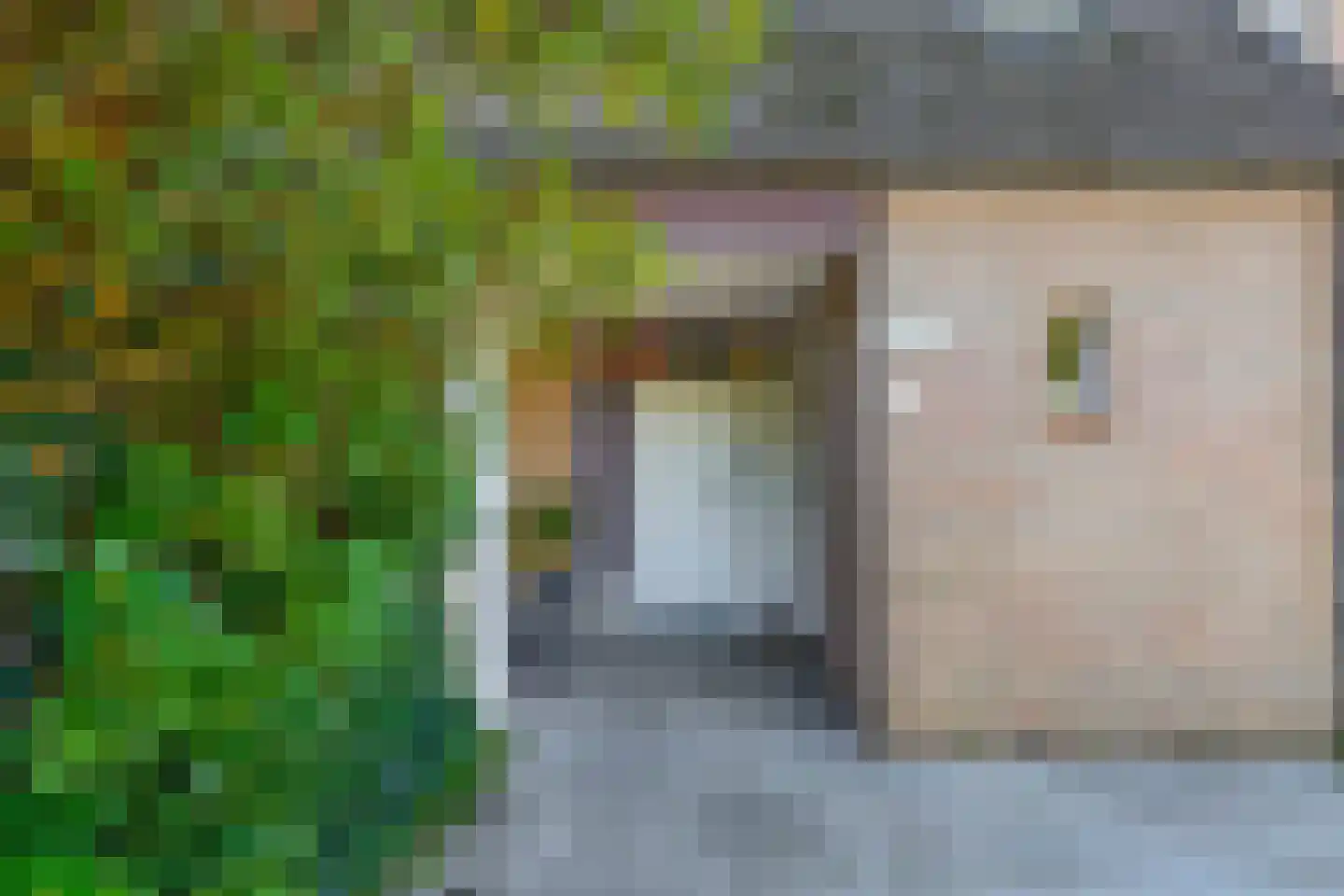 Normandielaan 76 Eindhoven thumbnail 12