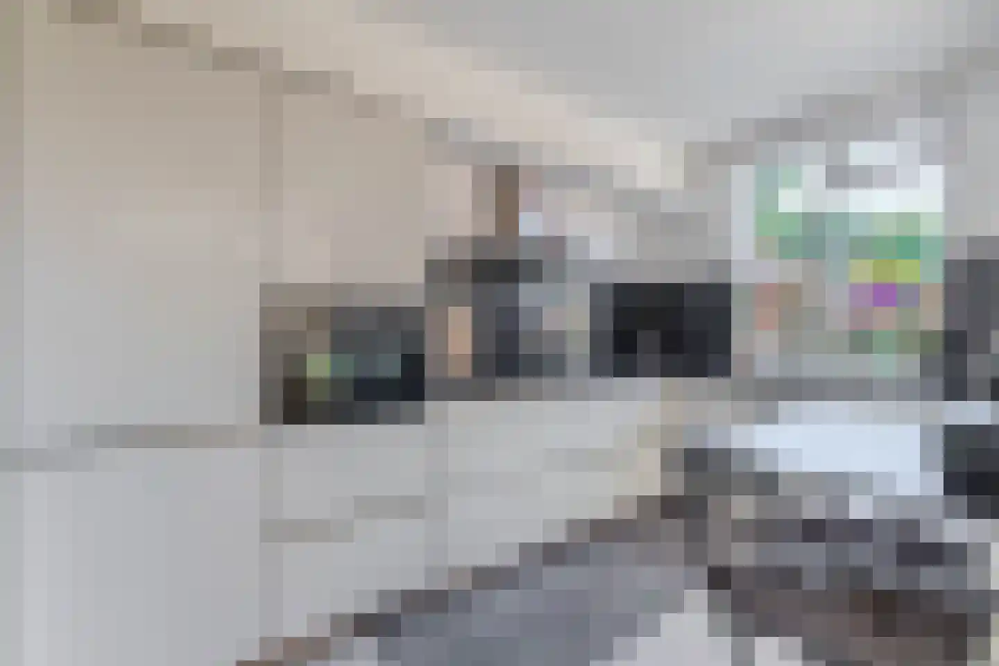 Normandielaan 76 Eindhoven thumbnail 22