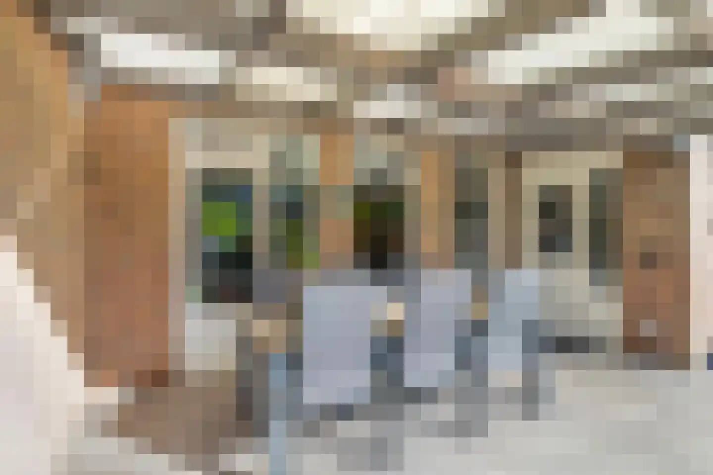 Normandielaan 76 Eindhoven thumbnail 42