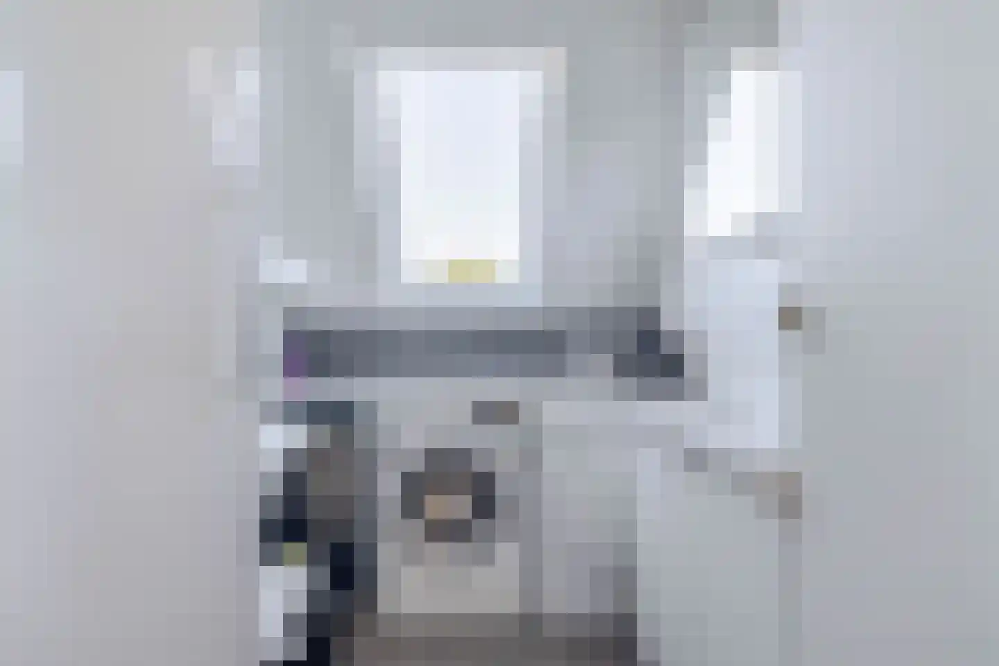 Normandielaan 76 Eindhoven thumbnail 8