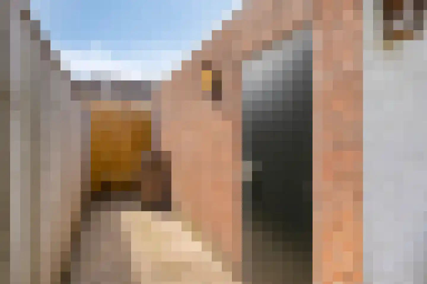 Normandielaan 85 Eindhoven thumbnail 38