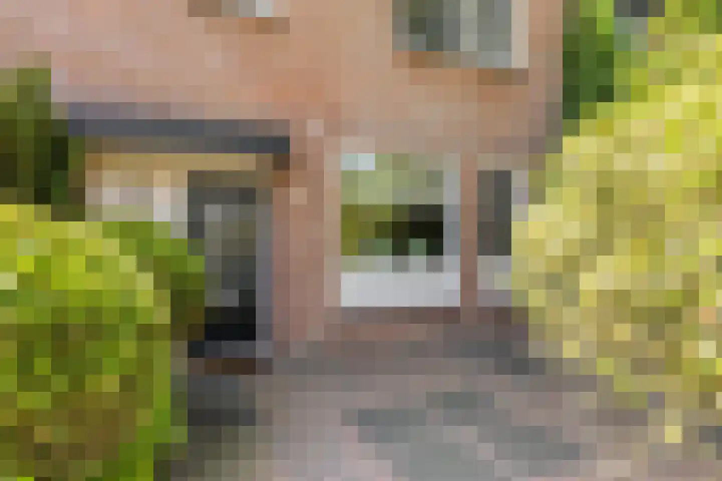 Normandielaan 85 Eindhoven thumbnail 40